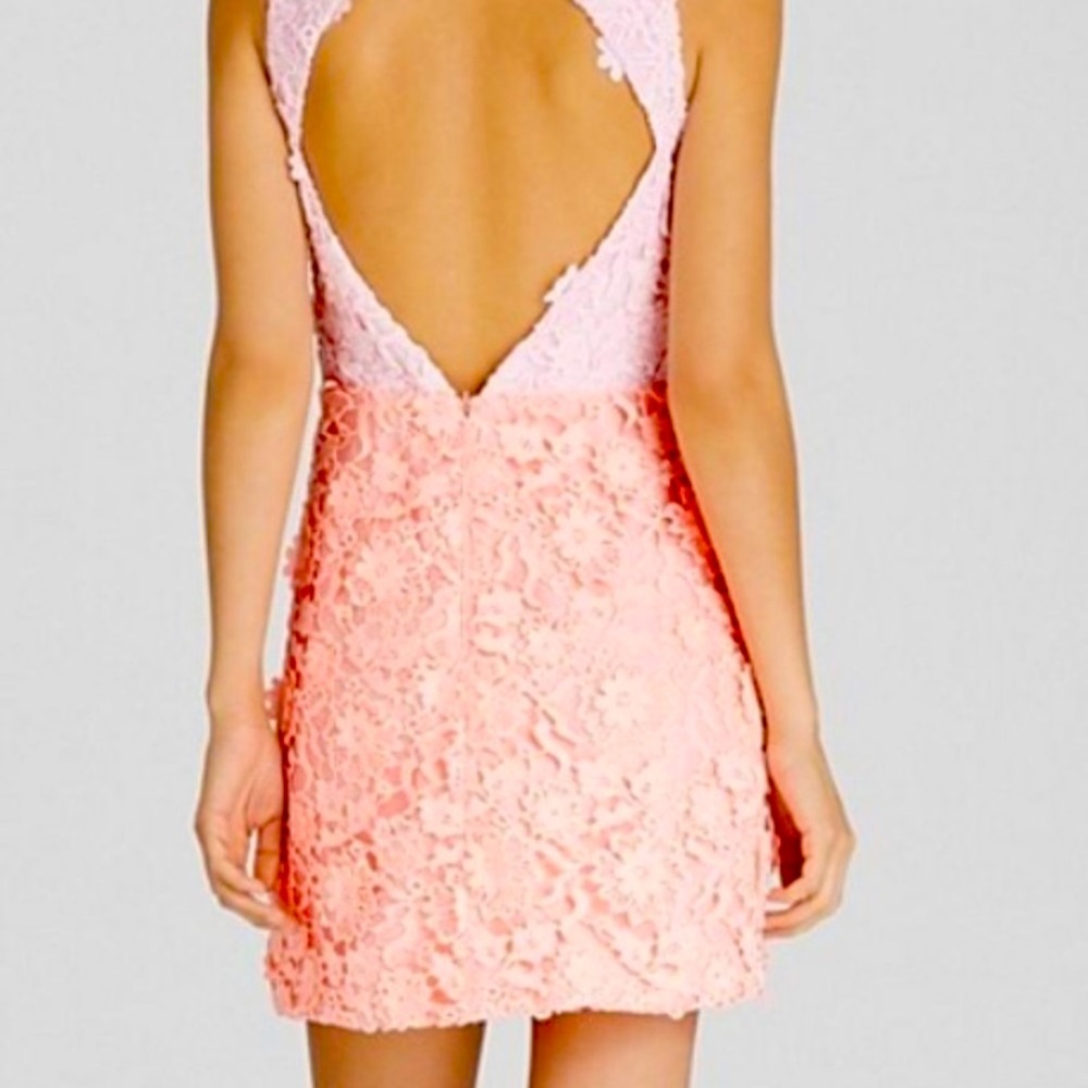 NWT Cynthia Rowley two tone lace dress